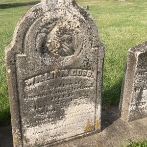 Meet your Posher, Dawn